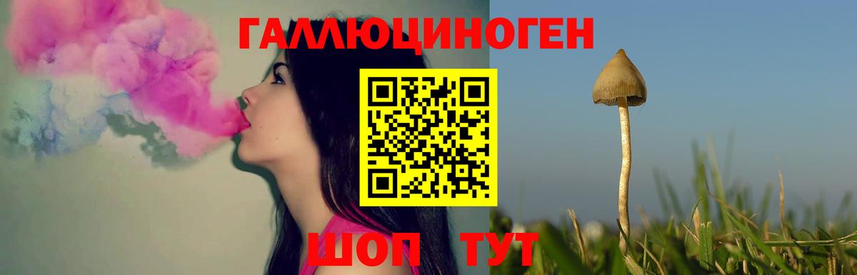 Галлюциногенные грибы Psilocybe  Псилоцибиновые грибы MAGIC MUSHROOMS  Сарапул  Вход с VPN 